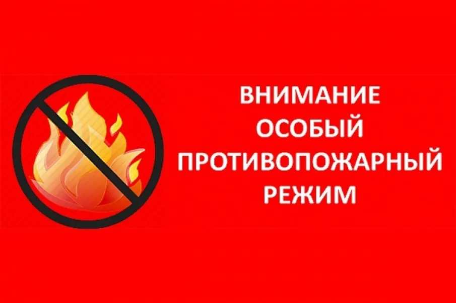 Постановлением Правительства Нижегородской области от 20 декабря 2024 года № 808 на территории Нижегородской области с 25 декабря 2024 года по 08 января 2025 года установлен, особый противопожарный режим.